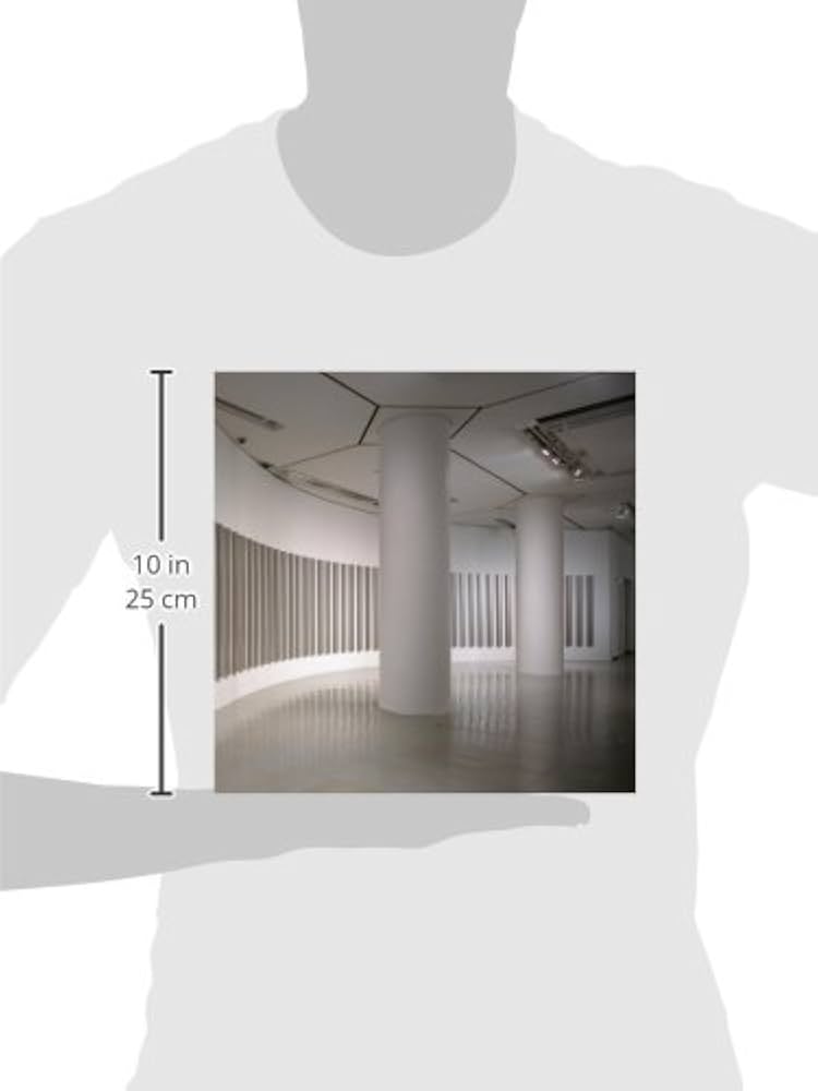 桑山忠明: IN PURSUIT OF LUCIDITY Tadaaki Kuwayama: In Pursuit of Lucidity: Kuwayama, Tadaaki